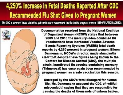 flu shot caused fetal deaths