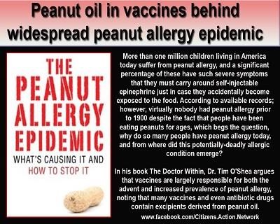 peanut allergy epidemic